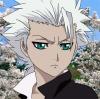 капитан Hitsugaya