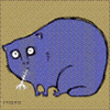 doraneko