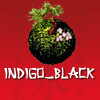 Indigo_Black