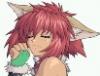 Kimiau