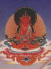 Amitabha