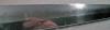 post-56749-1168845750_thumb.jpg