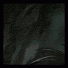 post-80124-1167992630_thumb.gif