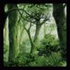 post-86570-1199976116_thumb.gif