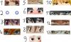 post-97431-1199211091_thumb.jpg