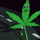 post-99674-1200079365_thumb.gif