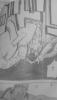 post-115521-1233127744_thumb.jpg