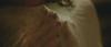 post-60294-1263845876_thumb.jpg