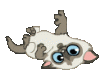post-171912-0-96606800-1326185198_thumb.gif