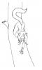 post-63357-1170613091_thumb.jpg