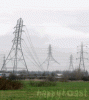post-2314-1203147554_thumb.gif
