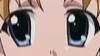 post-53537-1202846560_thumb.jpg
