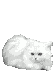 post-54714-1173552785_thumb.gif