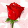 post-54714-1173552838_thumb.gif