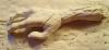 post-83805-1175001348_thumb.jpg