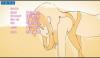 post-81552-1268538486_thumb.jpg