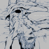 post-103877-1209368988_thumb.gif