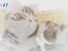 _Yoroshiku__Chi__s_Sweet_Home___01__A27F278E___002745_11_50_49_.JPG