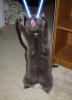 post-73768-1179691386_thumb.jpg
