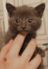 post-85496-1178649524_thumb.jpg