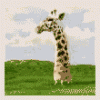 post-88704-1180009973_thumb.gif