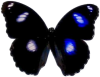 047.png