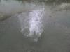 post-88325-1211044832_thumb.jpg