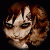 post-179663-0-94819800-1336399658_thumb.gif