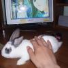 post-106232-1213103739_thumb.jpg