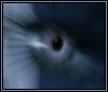 post-107759-1214295769_thumb.gif