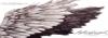 post-85692-1244670112_thumb.jpg