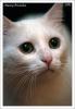 post-54965-1184139162_thumb.jpg