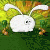 post-86570-1184313907_thumb.gif