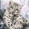 post-86570-1184998933_thumb.gif