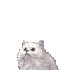 post-86570-1185694888_thumb.gif