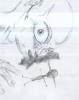post-59563-1215112835_thumb.jpg