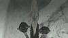 post-89889-1278266046_thumb.jpg