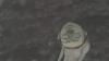 post-89889-1278266121_thumb.jpg