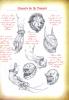 post-54085-1188398375_thumb.jpg