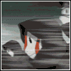 post-86570-1186463277_thumb.gif