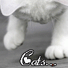 post-86570-1188109437_thumb.gif