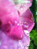 post-71157-1282338723_thumb.jpg