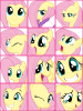 post-146990-0-47038300-1312531663_thumb.png