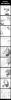 post-79853-1189036300_thumb.jpg