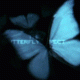 post-86570-1189438062_thumb.gif