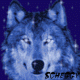 post-86570-1189438066_thumb.gif