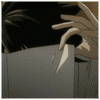 post-86570-1189784518_thumb.gif