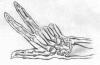 post-65545-1191662047_thumb.jpg