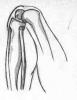 post-65545-1191662095_thumb.jpg