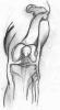 post-65545-1191662104_thumb.jpg
